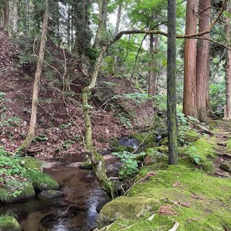 川の流れる音と雨の音と、響きあう様な…