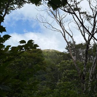 武奈ヶ岳が見えてきました