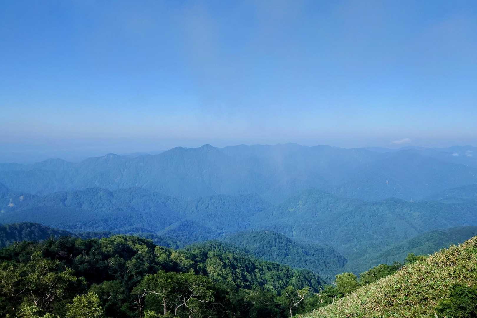 ✨️山深い白神山地✨️