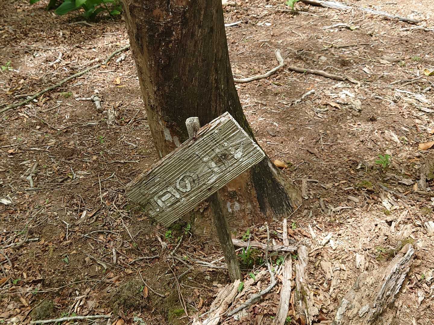 肩のコル