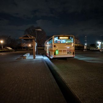 暗くなった大倉に到着してゴール🎊
今年も安全で楽しい登山ができますように🙏
