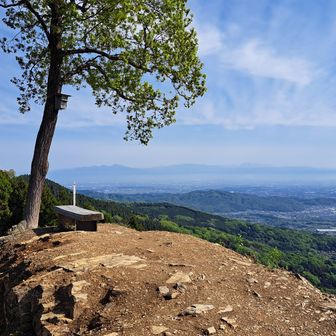 このベンチで休憩して、牧場に戻りました。