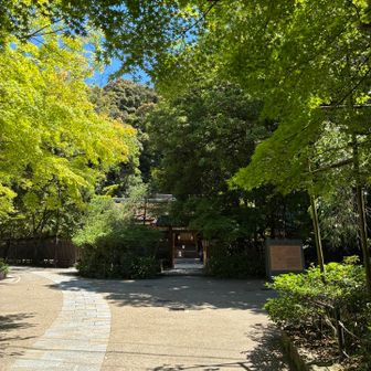宇治上神社