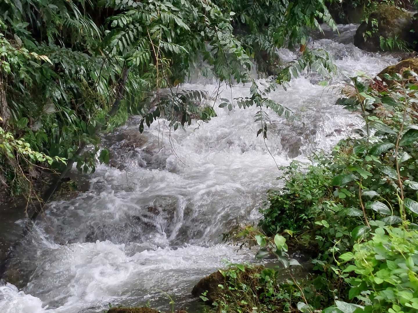 沢の水が凄かった。。。😲