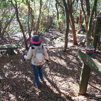 いたる所にベンチが設置されてます。