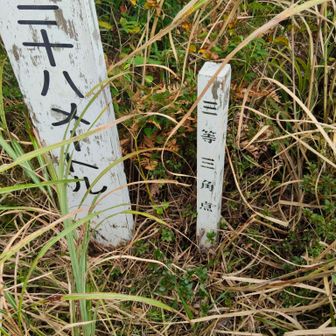 三角点の石柱はなしですが、標柱があります。