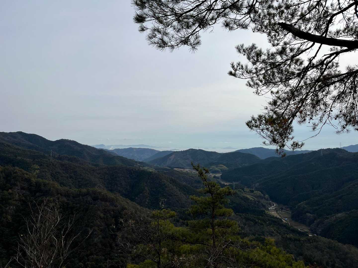 弥山 往復コースの写真