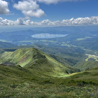 田沢湖を正面にエゾニュウ群落と山々