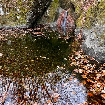 水が透き通っています