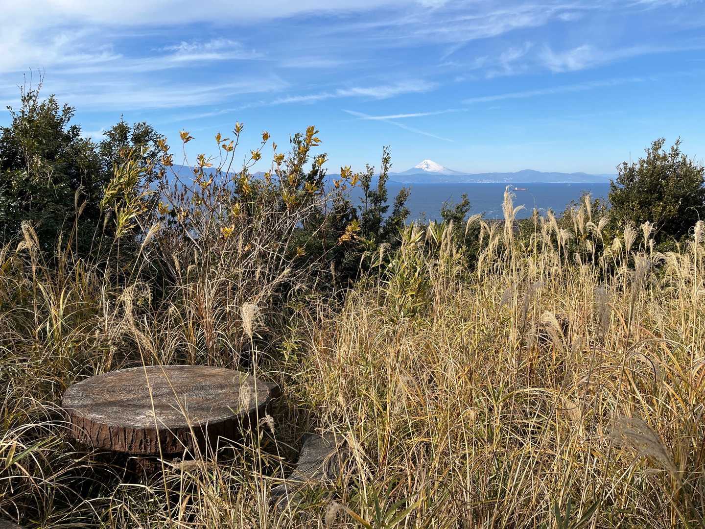 こちらが山頂からの見晴らし。