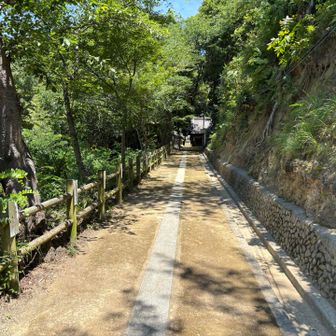 神社が見える