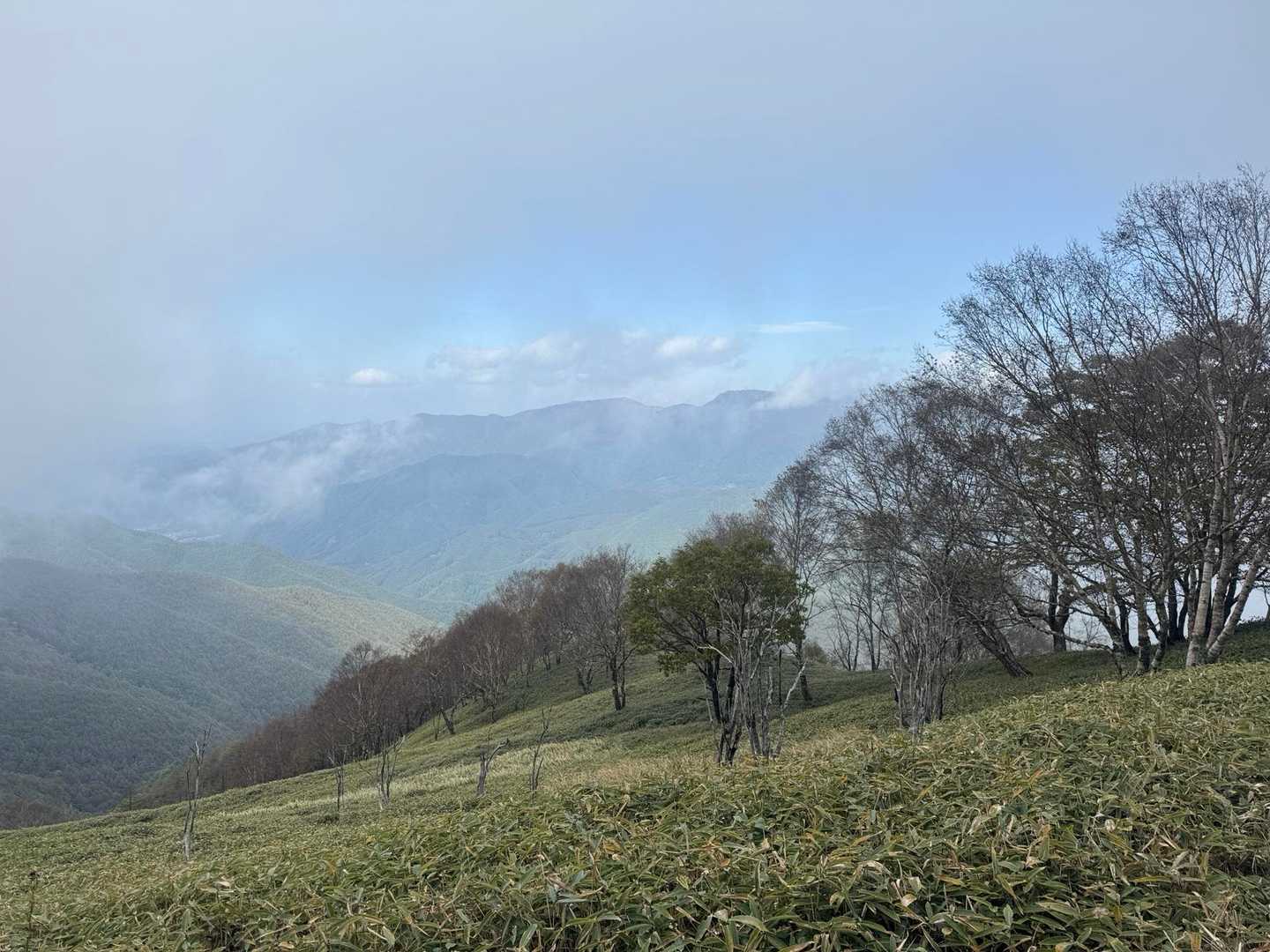 鉢伏山-前二ツ山-二ッ山 周回コースの写真