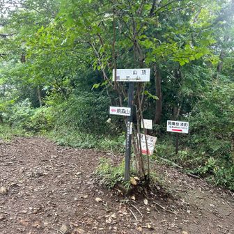鶏足山山頂・テーブルもあっていいところでした