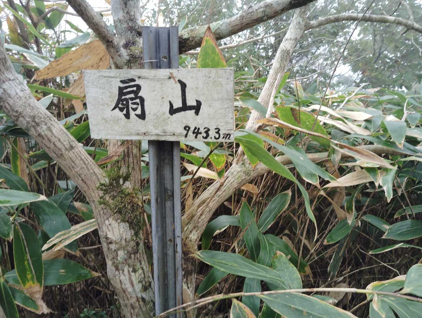 今日はここまで！