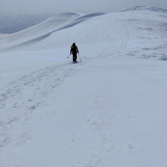 待って～🦏💨