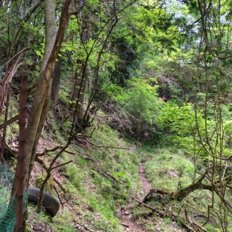ヤビツ峠到着