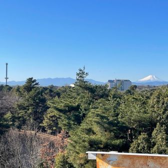 引くと丹沢がバッチリ見えました👍西武園のタワーも目立ちます。