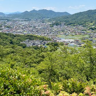 鉄塔のある絵下山⛰️
右➡️手前の山は、安芸アルプスの金ヶ燈篭山。
そして、熊野町の街並み。