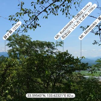 日本百低山にも選ばれる梶ヶ森は登ってみたいですね。
帰りは国道32号だったのですが梶ヶ森の存在感が凄かったです。
かのボリューム満点で有名な「ひばり食堂」もほど近いしね！
https://maps.app.goo.gl/58XPNdCBapmtGYGT7
炎天下の中で大行列だったのでスルーしちゃいましたが・・