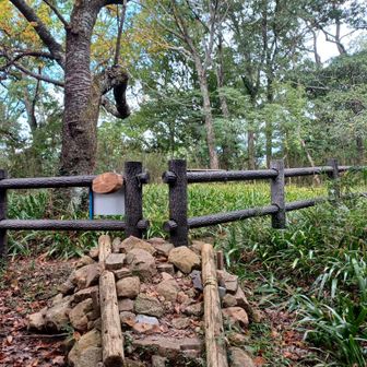 帰ってきました🎶
日守山入口🙆

(日守山は町の公園⛰️なので管理外地には柵が有ります)