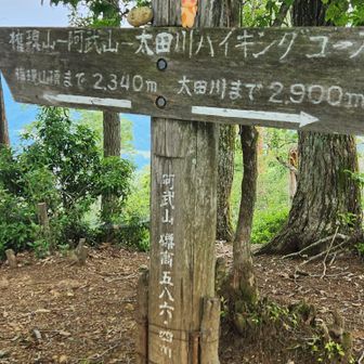 マスコット、置き忘れて来ちゃいました😭
