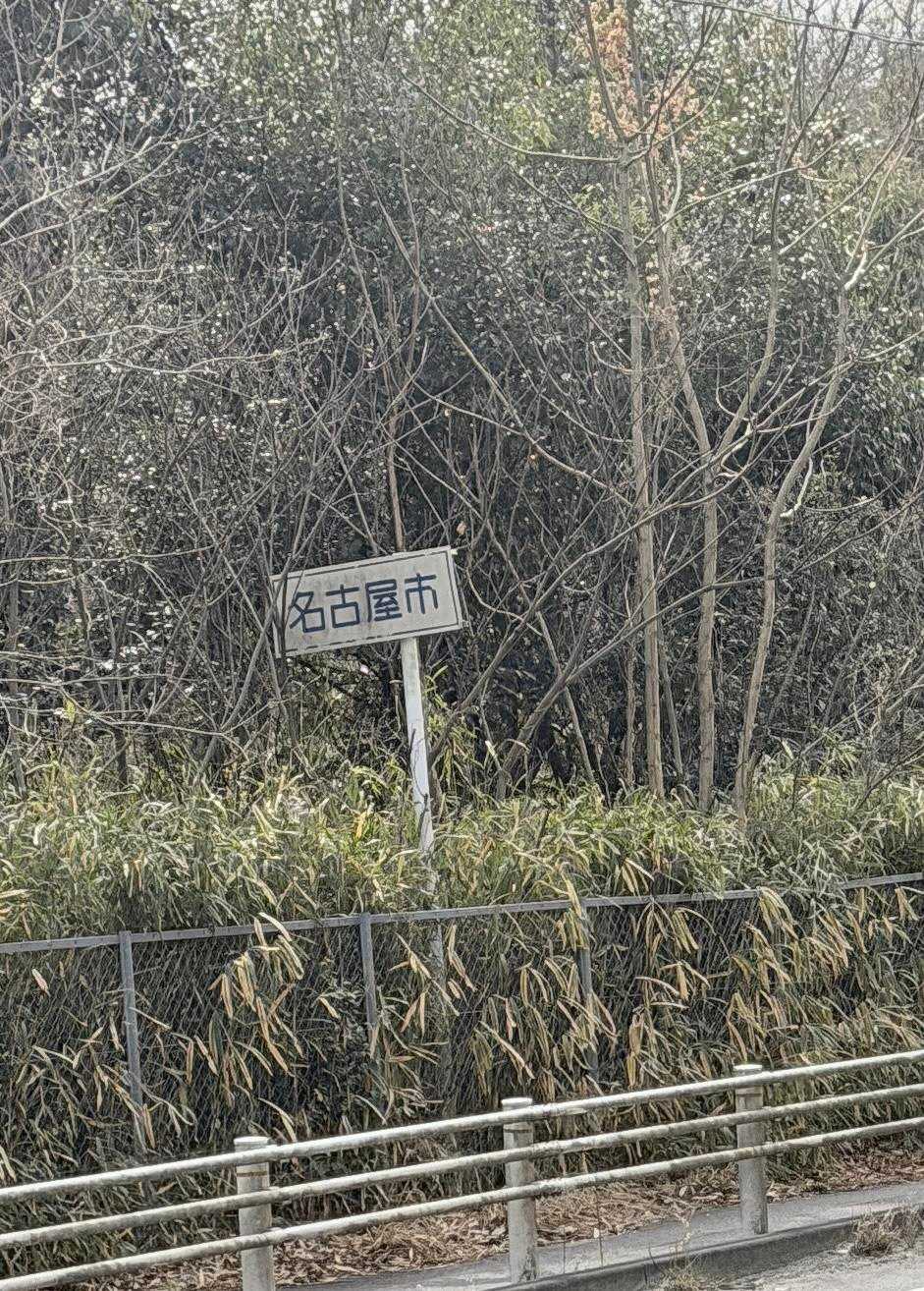なんと😳

ここって
名古屋市なん❓
びっくり🫢