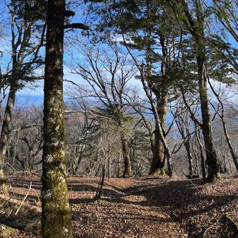 御正体山山頂手前。葉の落ちた木々の間越しの眺望。