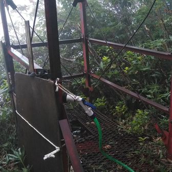名物(!?)の野趣溢れるトイレ。