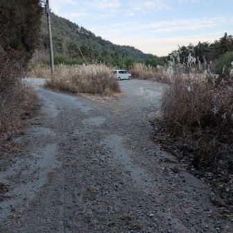 ただいまぁ〜🤩