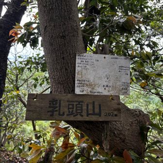ここは2度目！