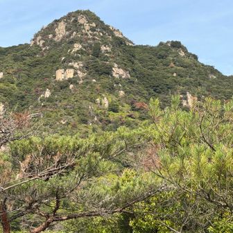山頂