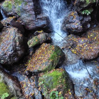なんと清々しい空気！ｽｰﾊｰｽｰﾊｰ😙😯