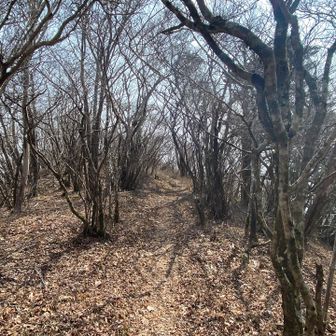 緩い稜線歩き（ボーナスタイム