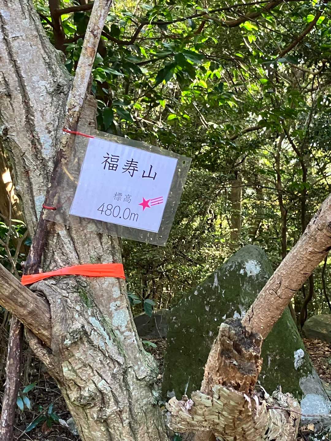 小さいのでスルーしそうです😱
