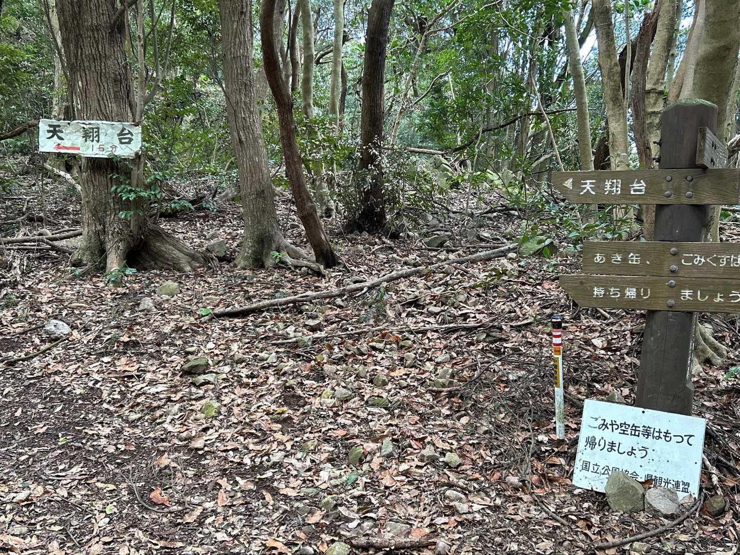 分岐から天翔台へ