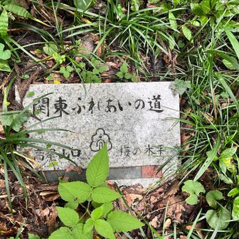 あと何キロ？