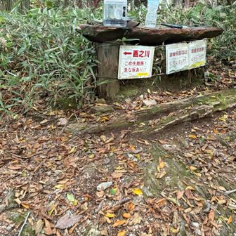 成就社を過ぎ
この分岐から西之川登山口へ

ここから先は迷うことない道ですが
暗くなる前に下山したくてひたすら歩く

先行者が２名いたので
離れ過ぎないように頑張って歩き
日暮れ前に無事下山！🙌✨


鎖場や天狗岳への渋滞を考慮しきれず
予定の10時間をかなり超えてしまった

鎖は使わず巻道で行くと言ってた
彼女はきっと予定通り下山してるだろう
確かな歩み…見習いたい😌

