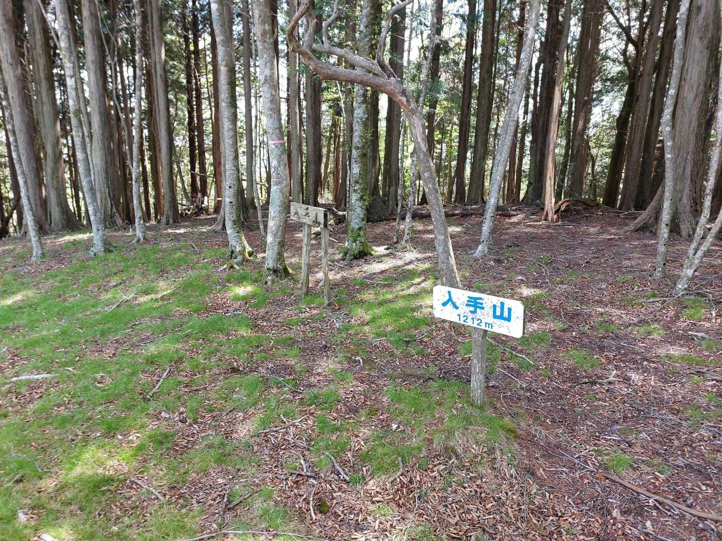 んで入手山に登頂🙌