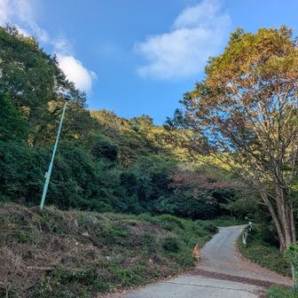 久しぶりの青空✌️キャンプ場の駐車場から東筑波ハイキングコースに向かってスタートしました📷