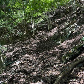 右側の斜面には岩肌が目立つようになってきました