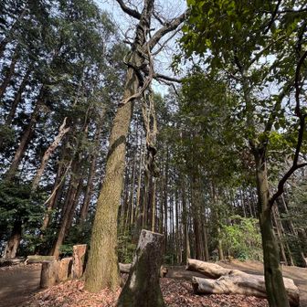 二上山loverの方の手作り空間