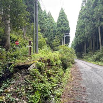 ゆっくりと、無事下山
これまでも「熊の住処におじゃましている」とは思ってきたが、実際に出会ってみると、なんというか「本当に熊がいるんだ」ということをありありと実感できた。経験、というのはとても大切なことである。ありがとう。