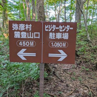 ビジターセンター🅿️へ