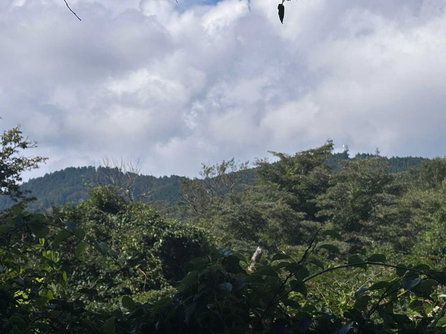 百ヶ辻登山口-金剛山山頂売店-金剛山-転法輪寺-金剛山葛木 周回コースの写真
