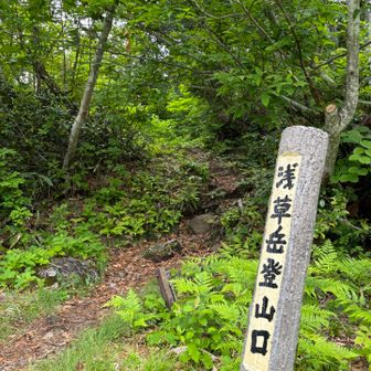 登山口