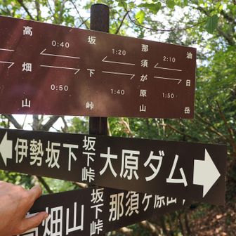 坂下峠到着 五僧峠〜油日岳が繋がった瞬間😆