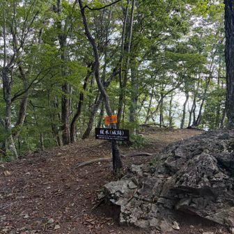 山頂。涼しい〜