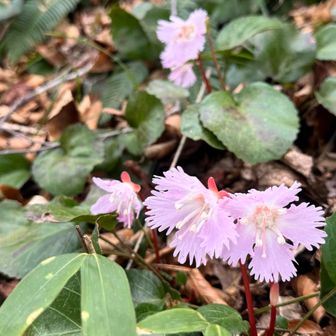 名残惜しいなー