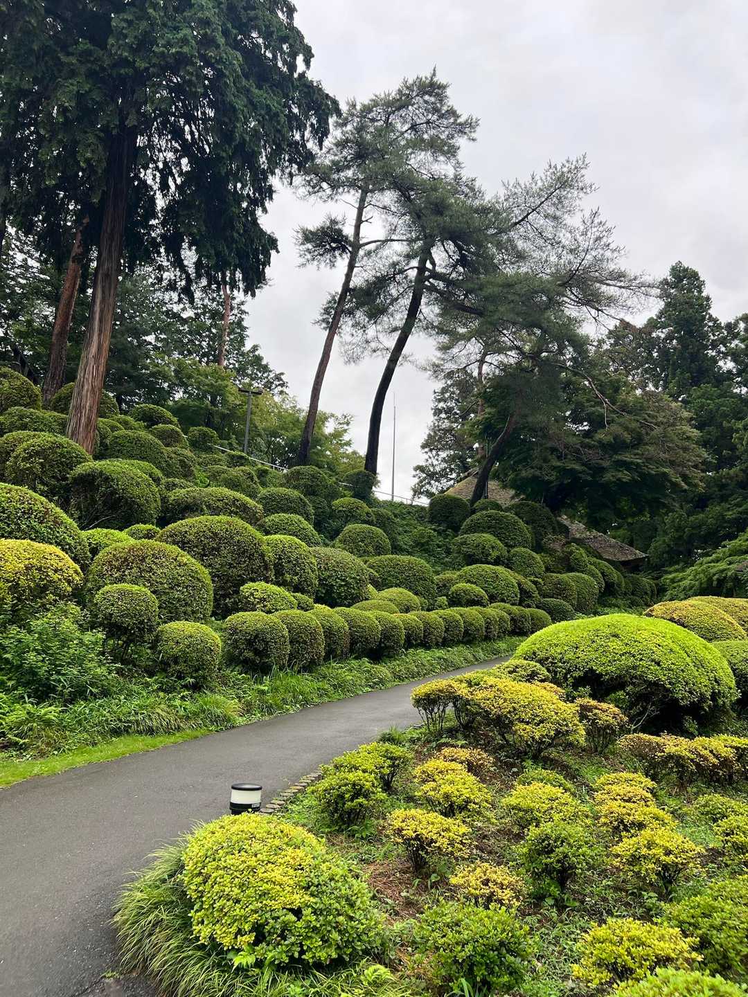 塩船観音寺-愛宕山 往復コースの写真