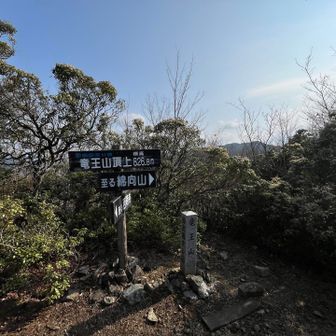 竜王山
ここまでホーム三上山と距離も高低差もほぼ同じ